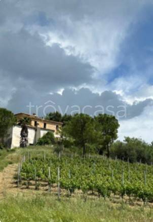 terreno agricolo in vendita ad Offida