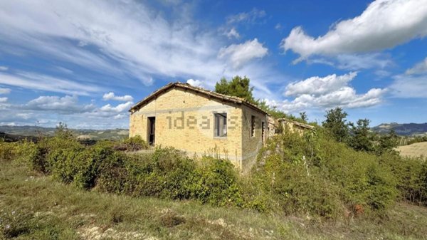 esavano in vendita ad Offida in zona Borgo Miriam
