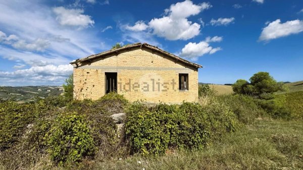 esavano in vendita ad Offida in zona Borgo Miriam