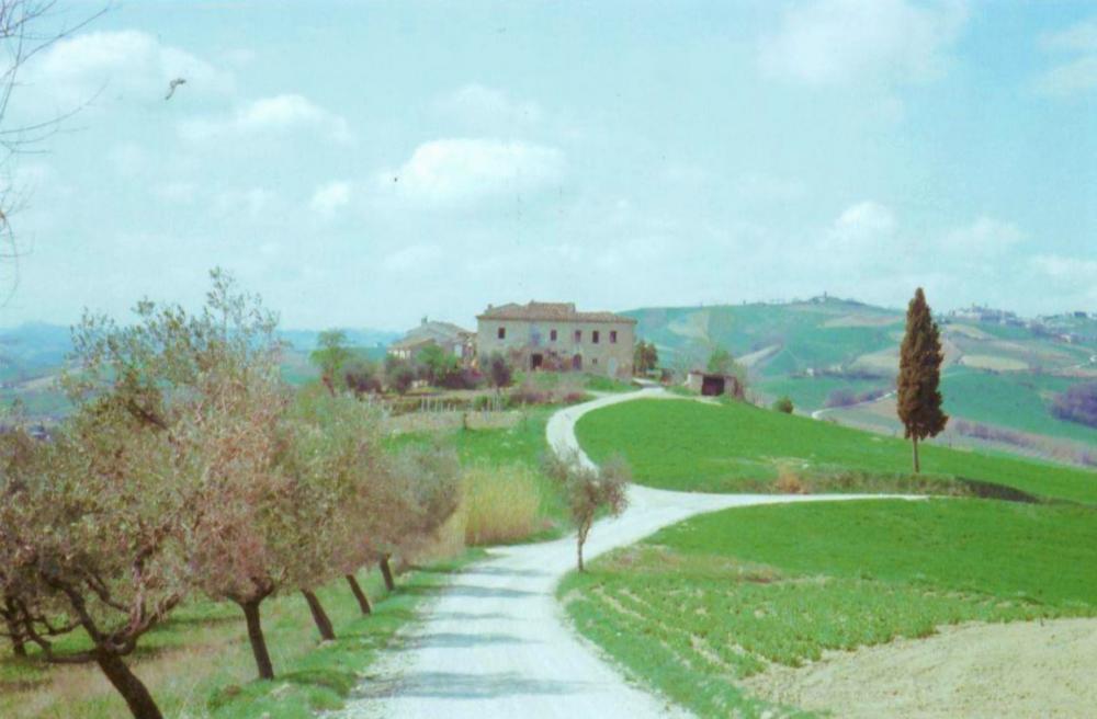 villa in vendita ad Offida