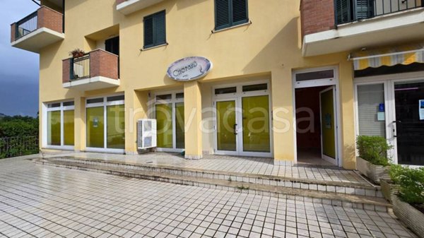 negozio in vendita ad Offida