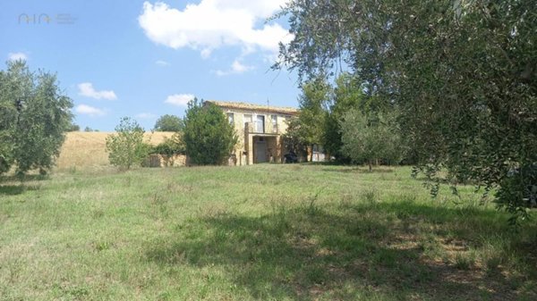 casa indipendente in vendita ad Offida