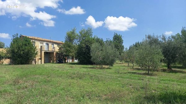 casa indipendente in vendita ad Offida