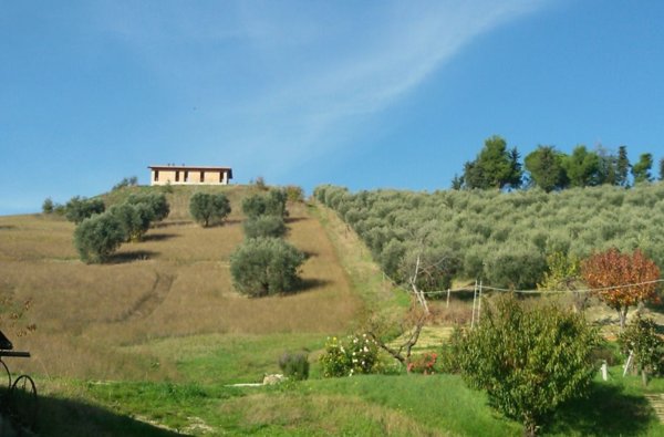 casa indipendente in vendita ad Offida