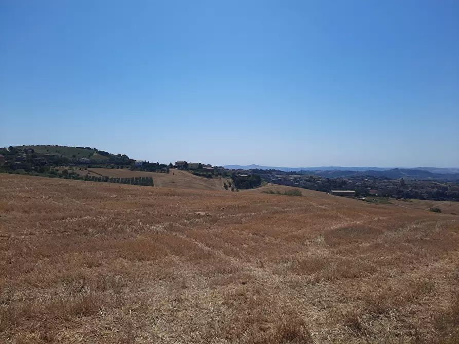 terreno agricolo in vendita ad Offida