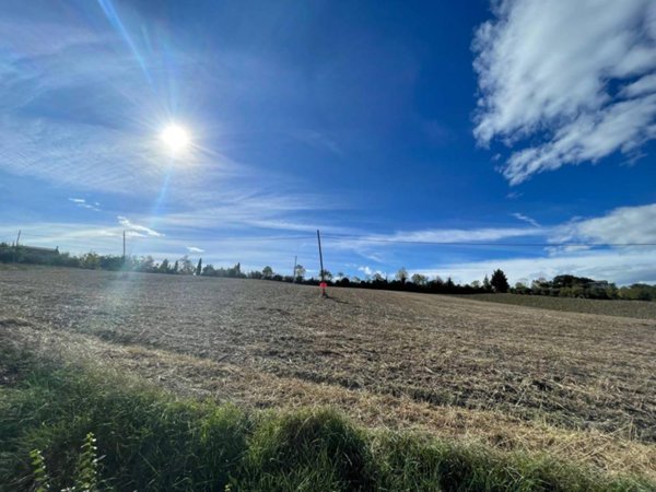 terreno agricolo in vendita ad Offida in zona San Barnaba