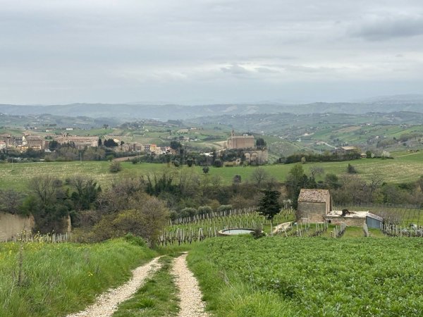 casa indipendente in vendita ad Offida