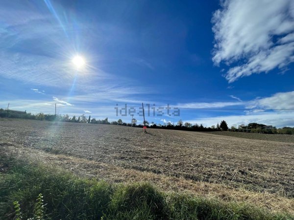 terreno agricolo in vendita ad Offida in zona San Barnaba