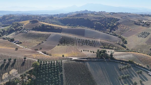 casale in vendita ad Offida