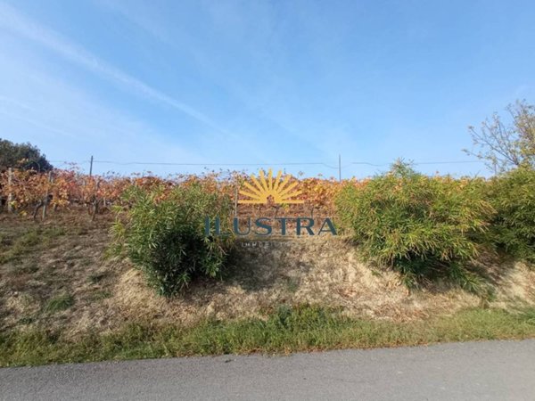 azienda agricola in vendita ad Offida