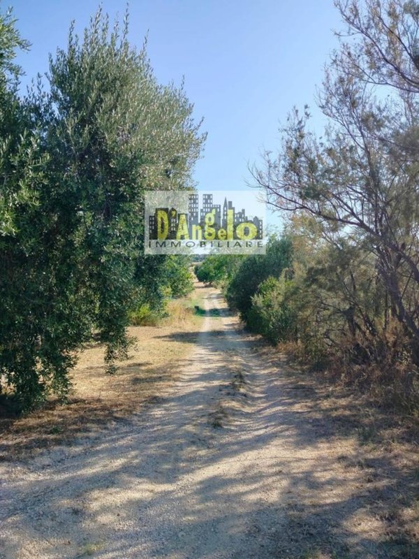 casale in vendita ad Offida