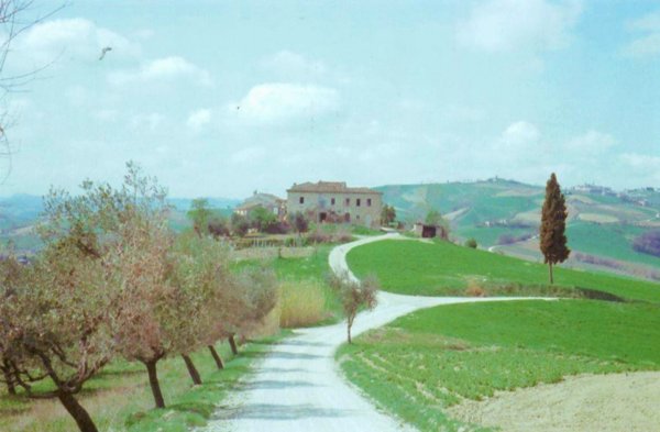 casa indipendente in vendita ad Offida