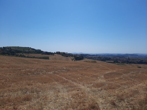 terreno agricolo in vendita ad Offida