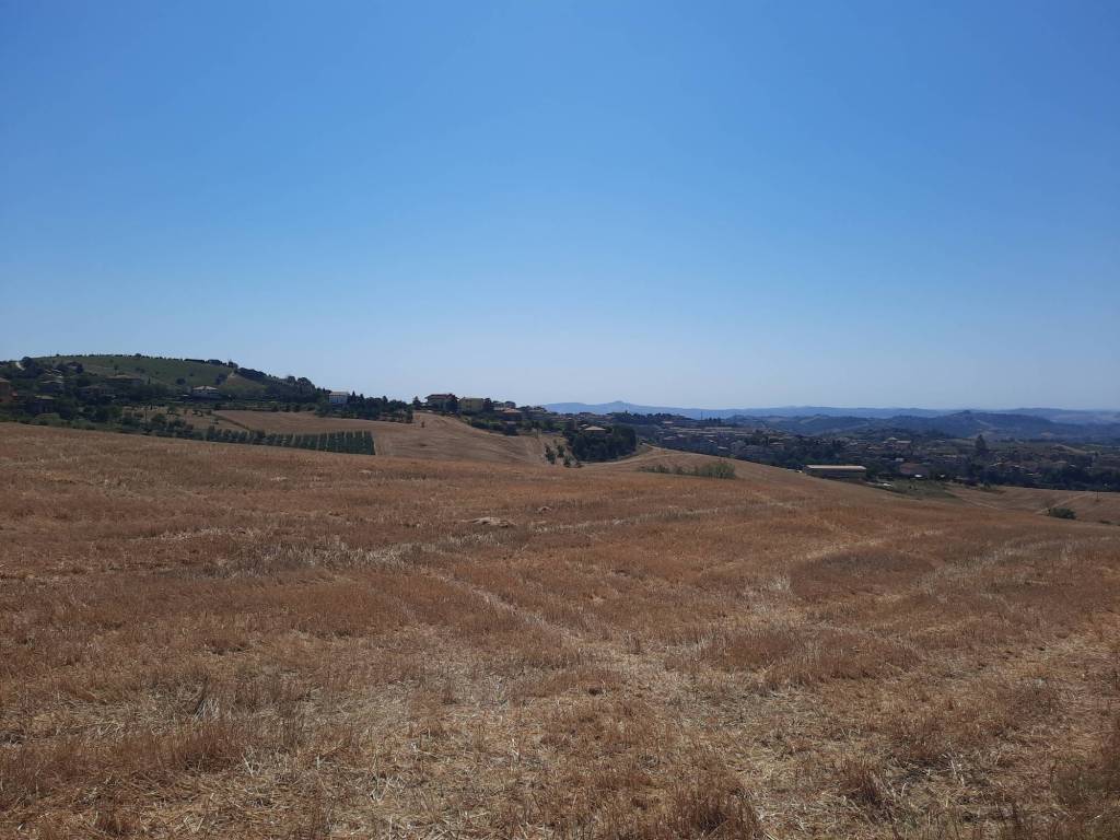 terreno agricolo in vendita ad Offida in zona San Barnaba