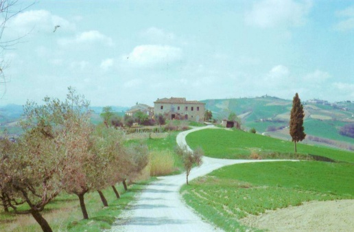 casa indipendente in vendita ad Offida