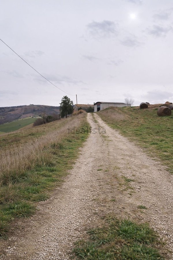 casale in vendita ad Offida