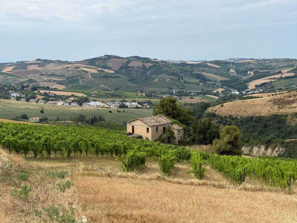 casale in vendita ad Offida in zona Borgo Miriam