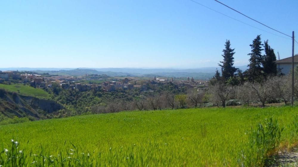 terreno in vendita ad Offida in zona San Barnaba