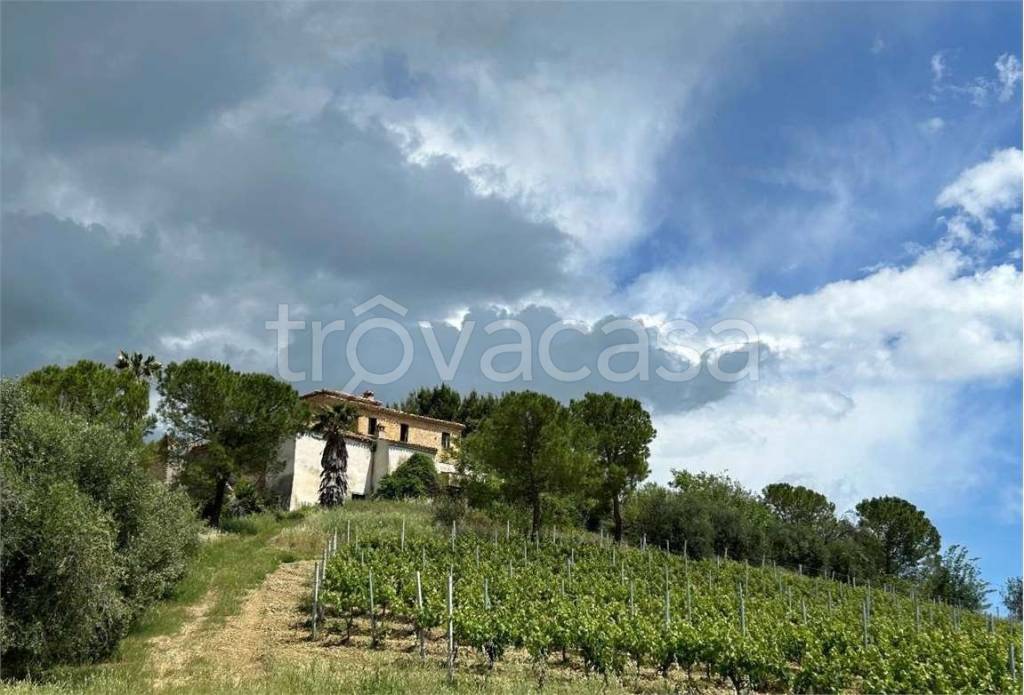 casa indipendente in vendita ad Offida