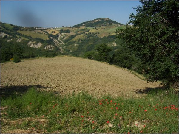 casa indipendente in vendita a Palmiano