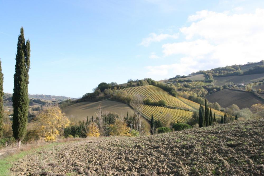 casa indipendente in vendita a Ripatransone