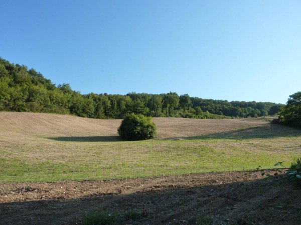terreno agricolo in vendita a Ripatransone in zona San Savino