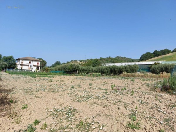 terreno agricolo in vendita a Ripatransone