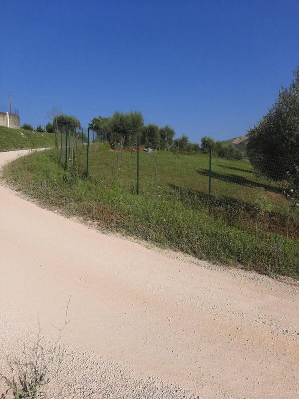 terreno agricolo in vendita a Ripatransone