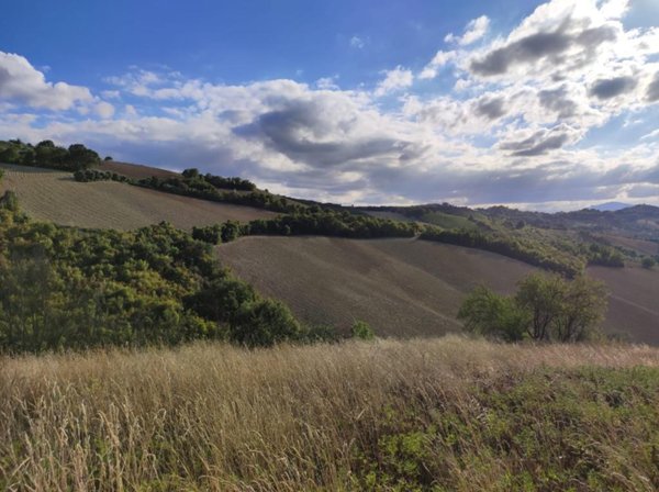 terreno agricolo in vendita a Ripatransone in zona San Savino