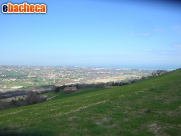 terreno agricolo in vendita a Ripatransone