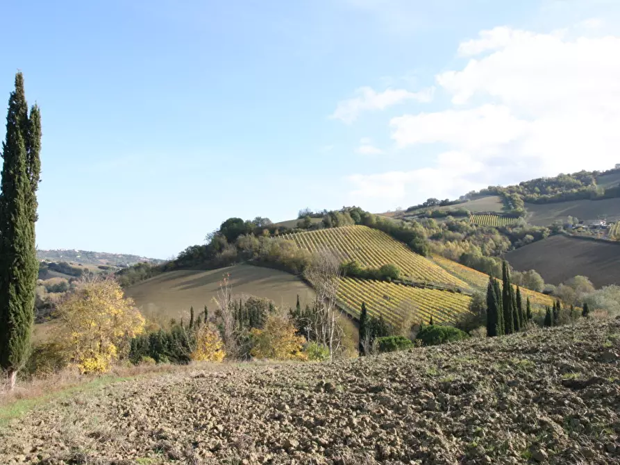 casa indipendente in vendita a Ripatransone