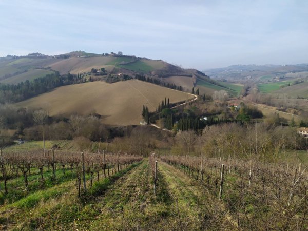 casa indipendente in vendita a Ripatransone