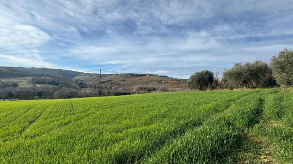 casa indipendente in vendita a Ripatransone
