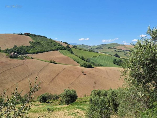 terreno agricolo in vendita a Ripatransone