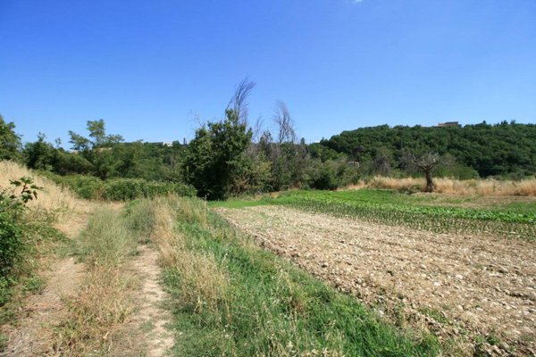 casa indipendente in vendita a Ripatransone