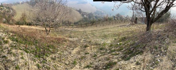 terreno agricolo in vendita a Ripatransone