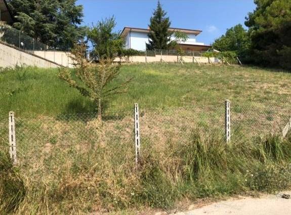 terreno agricolo in vendita a Ripatransone