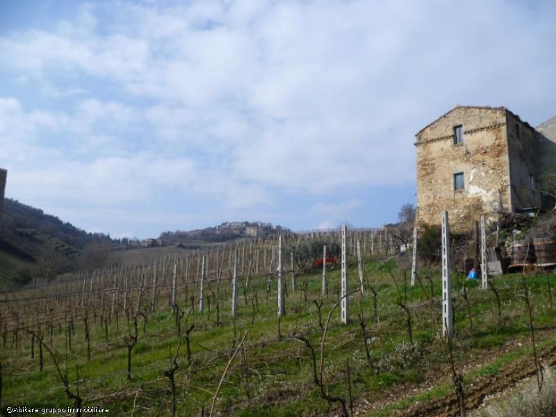 casa indipendente in vendita a Ripatransone