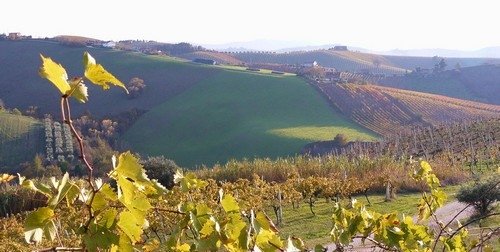 casa indipendente in vendita a Ripatransone