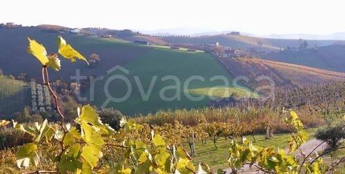 casa indipendente in vendita a Ripatransone
