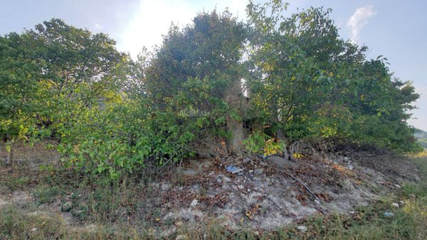 casa indipendente in vendita a Ripatransone in zona San Savino