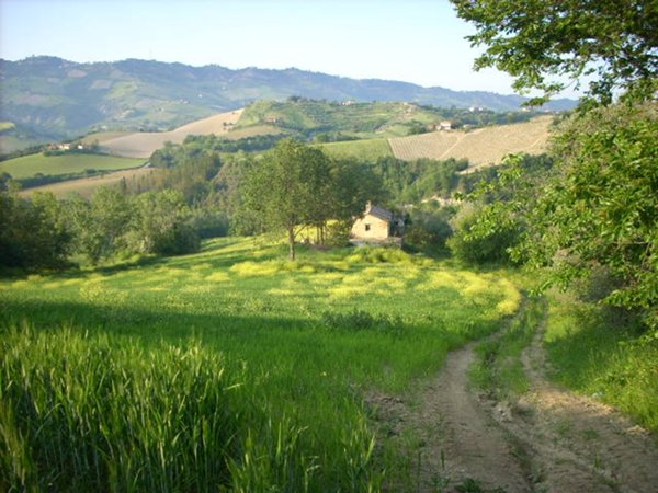 casa indipendente in vendita a Ripatransone in zona San Savino