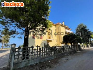 appartamento in vendita a Ripatransone