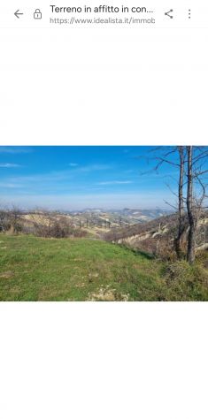 terreno agricolo in vendita a Ripatransone