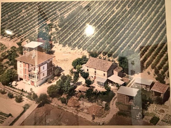 azienda agricola in vendita a Ripatransone