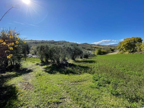 casa indipendente in vendita a Ripatransone