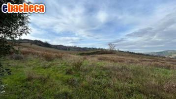 terreno agricolo in vendita a Ripatransone
