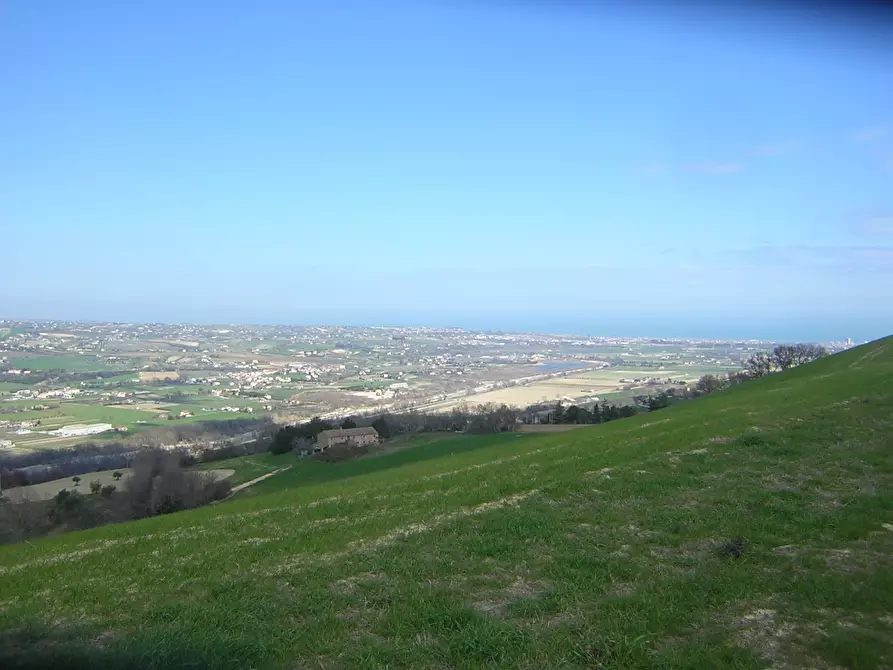terreno agricolo in vendita a Ripatransone