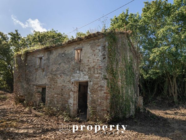 quadrivano in vendita a Ripatransone