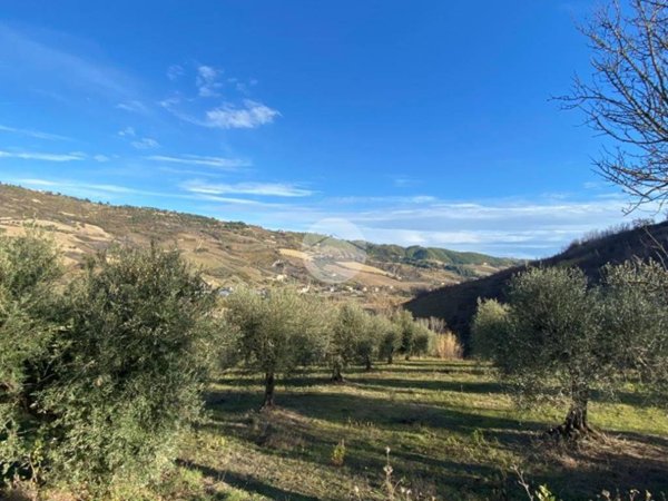 terreno agricolo in vendita a Ripatransone